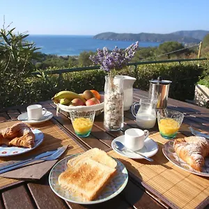 Ca' La Stella Sea-view Aparthotel